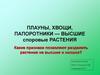 Плауны, хвощи, папоротники — высшие споровые растения. 6 класс