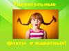 Удивительные факты о животных