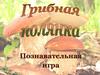 Познавательная игра "Грибная полянка"