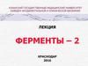 Ферменты - 2