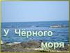 У Чёрного моря