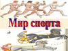 Мир спорта