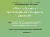 Многообразие и происхождение культурных растений. 6 класс