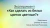 Эксперимент «Как сделать из белых цветов цветные?»