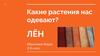 Какие растения нас одевают?