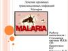 Лечение кровяных трансмиссивных инфекций. Малярия