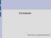 Сознание. Свойства сознания