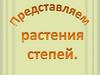 Растения степей