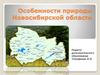 Особенности природы Новосибирской области