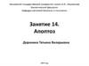 Апоптоз. Занятие 14