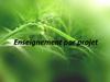 Enseignement par projet
