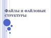 Файлы и файловые структуры