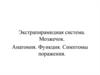Экстрапирамидная система. Мозжечок. Анатомия. Функция. Симптомы поражения