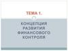 Концепция развития финансового контроля