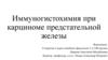 Иммуногистохимия при карциноме предстательной железы