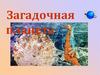 Загадочная планета