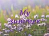 My summer