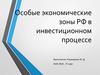 Особые экономические зоны РФ в инвестиционном процессе