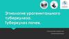 Этиология урогенитального туберкулеза. Туберкулез почек