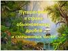 Путешествие в страну обыкновенных дробей и смешанных чисел
