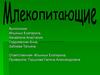 Класс Млекопитающие. 7 класс