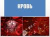Кровь. Красные и белые кровяные клетки и кровяные клетки в костном мозге