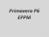 Primavera P6 EPPM. Описание