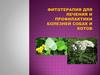 Фитотерапия для лечения и профилактики болезней собак и котов