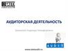 Аудиторская деятельность