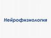 Нейрофизиология