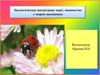 Экологическое воспитание через знакомство с миром насекомых