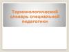 Терминологический словарь специальной педагогики