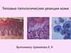 Типовые патологические реакции кожи