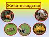 Животноводство