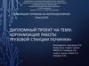 Организация работы грузовой станции Починки