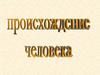 Происхождение человека. Классификация приматов