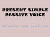 Present simple passive voice