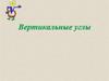 Вертикальные углы