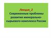 Современные проблемы развития минерально-сырьевого комплекса России