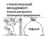 Стратегический менеджмент: анализ ресурсного потенциала предприятия
