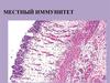 Местный иммунитет