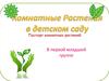 Комнатные растения в детском саду