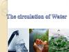The circulation of Water
