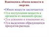 Взаимосвязь обмена веществ и энергии. Лекция 2