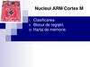 Nucleul ARM Cortex M