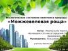 Экологическое состояние памятника природы – «Можжевеловая роща»