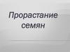 Прорастание семян
