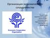 Организация экономического сотрудничества