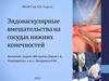 Эндоваскулярные вмешательства на сосудах нижних конечностей