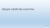 Общие свойства культуры